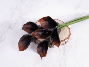 IMG_8861.jpg