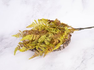 IMG_9076.jpg
