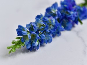 (1046).JPG