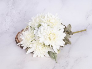 IMG_9386.jpg