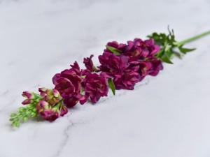 (1047).JPG