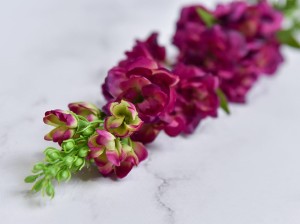 (1048).JPG