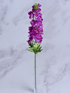(1398).JPG