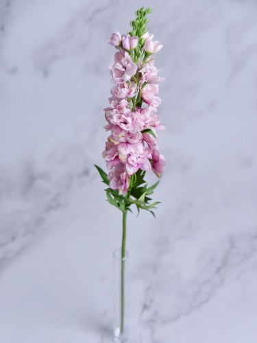 Ostróżka Gałązka P026 # Pudrowy Violet