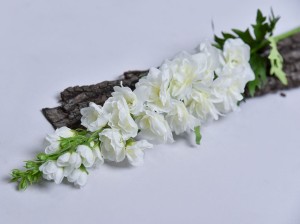 (1408).JPG