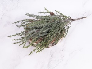 IMG_0360.jpg