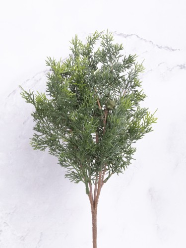 Bukiet TUJA  F54 # Zieleń (1 szt)
