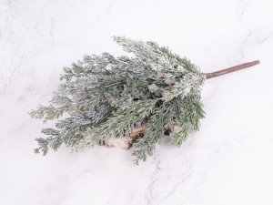 IMG_0364.jpg