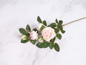 IMG_0633.jpg