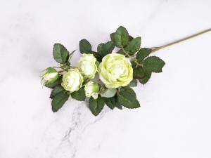 IMG_0674.jpg