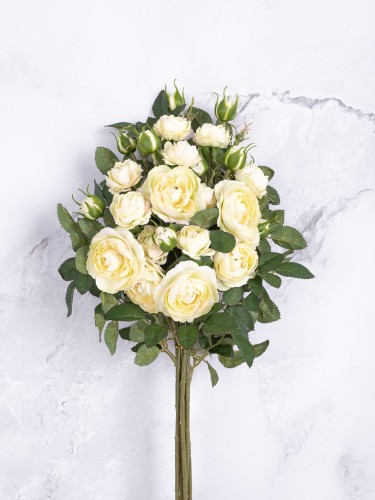 Róża Gałązka EXCLUSIVE KR7 # Jasna Vanilla*3062 (6 szt)