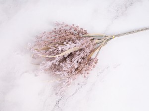 IMG_0698.jpg