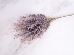 IMG_0703.jpg