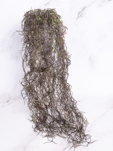 Zwis Ozdobny TILLANDSIA # Brąz z Delikatną Oliwką (2 szt)