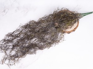 IMG_0757.jpg