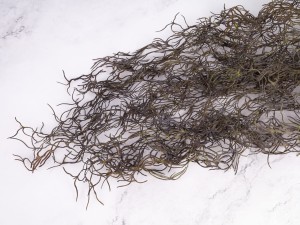 IMG_0758.jpg