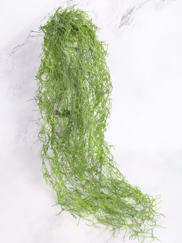 Zwis Ozdobny TILLANDSIA # Jasna Zieleń (2 szt)