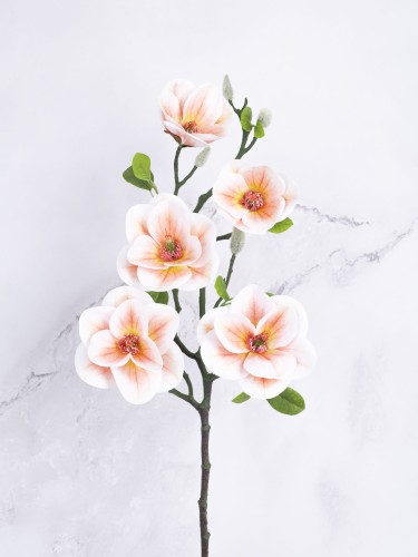 Magnolia Gałązka "Lateks*5" # Brzoskwinia*13