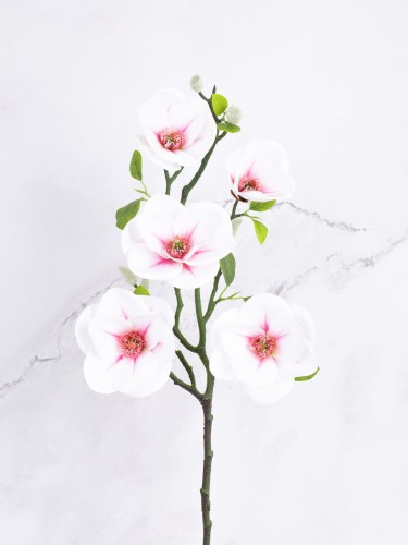 Magnolia Gałązka "Lateks*5" # Krem z Różem*10