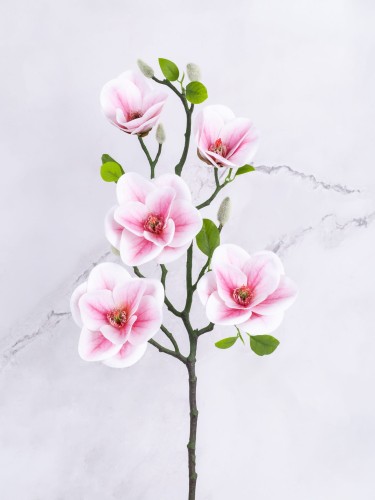 Magnolia Gałązka "Lateks*5" # Delikatny Róż*3