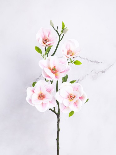 Magnolia Gałązka "Lateks*5" # Jasny Róż*15