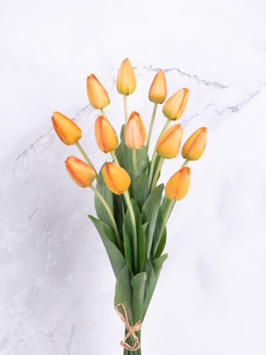Tulipan w Pęczku T59 # Delikatny Pomarańcz (12 szt)