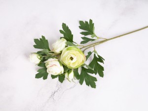 IMG_1091.jpg