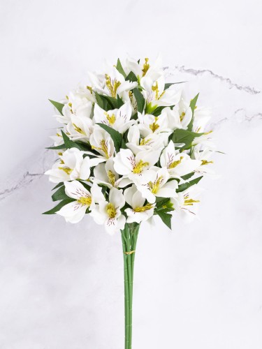 Alstromeria Gałązka # Krem (6 szt)