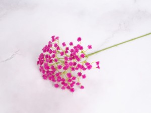 IMG_1078.jpg