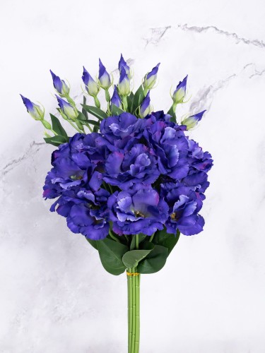 Eustoma Pik EX12 # Ciemny Fiolet (12 szt)