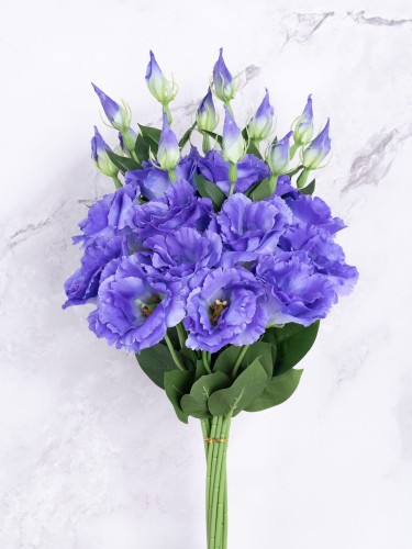 Eustoma Pik EX12 # Blue/Violet*2389 (12 szt)