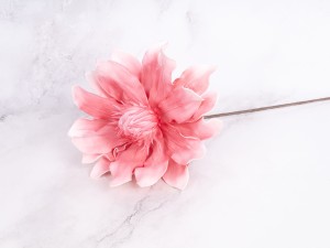 IMG_0905.jpg