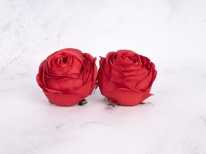 IMG_1492.jpg