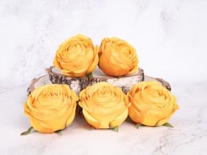 IMG_1435.jpg