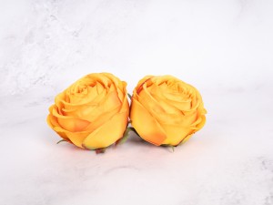 IMG_1483.jpg