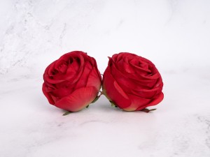 IMG_1475.jpg
