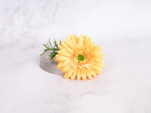 IMG_1578.jpg