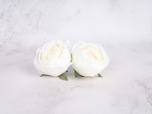 IMG_1556.jpg