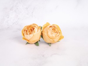 IMG_1552.jpg