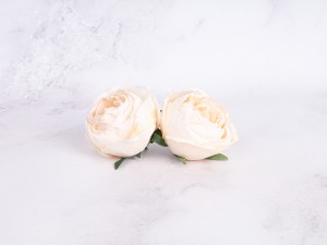 IMG_1550.jpg