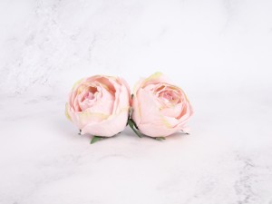 IMG_1544.jpg