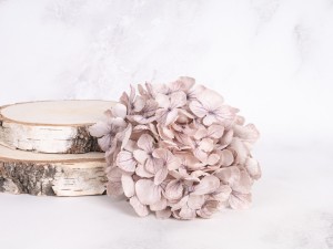 IMG_1606.jpg
