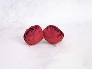 IMG_1560.jpg