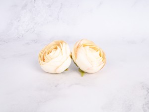 IMG_1568.jpg