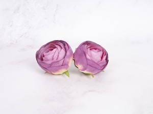 IMG_1566.jpg