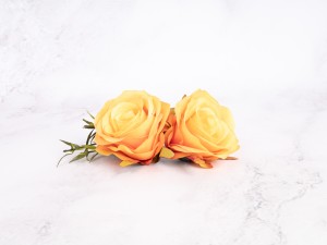 IMG_1827.jpg