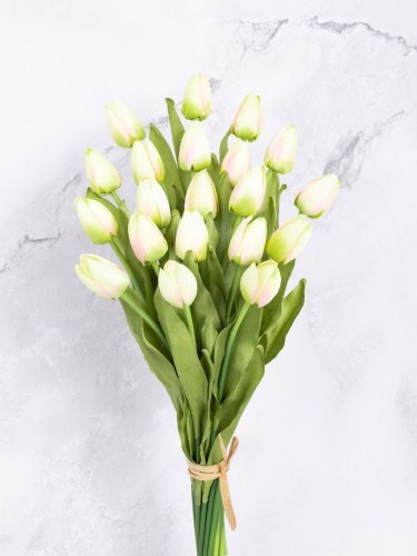 Tulipan Satyna/Wiązka T67 # Delikatny Żółty/Zieleń/Róż (20 szt)