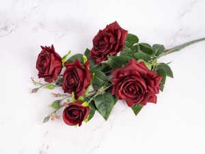 IMG_1970.jpg