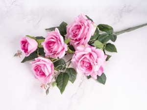 IMG_1980.jpg