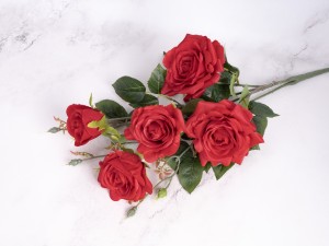 IMG_1985.jpg